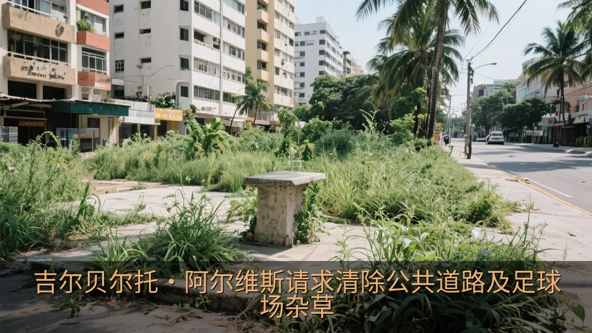 吉尔贝尔托·阿尔维斯请求清除公共道路及足球场杂草